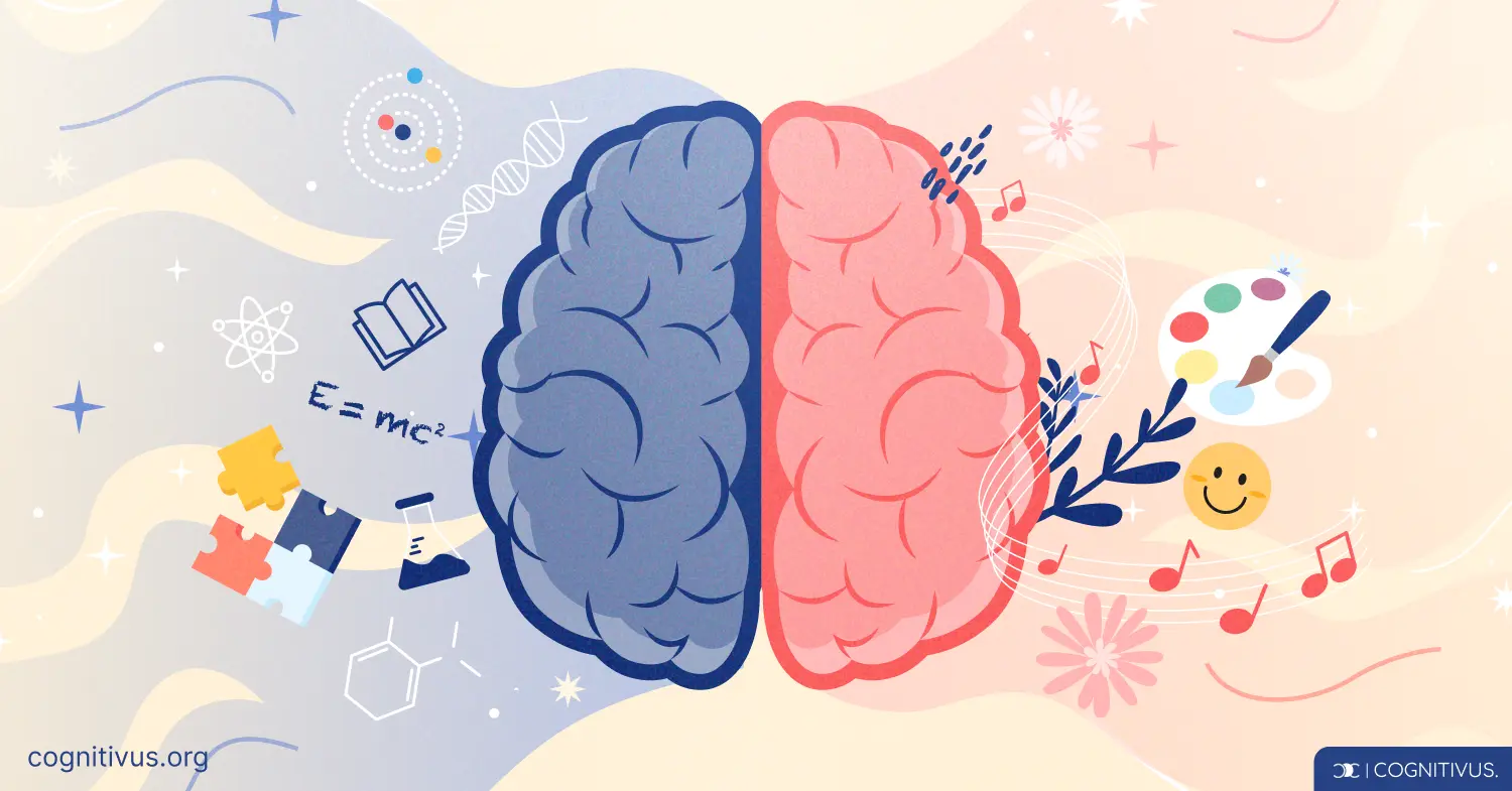 Two halves of a brain with science icons and artistic motifs