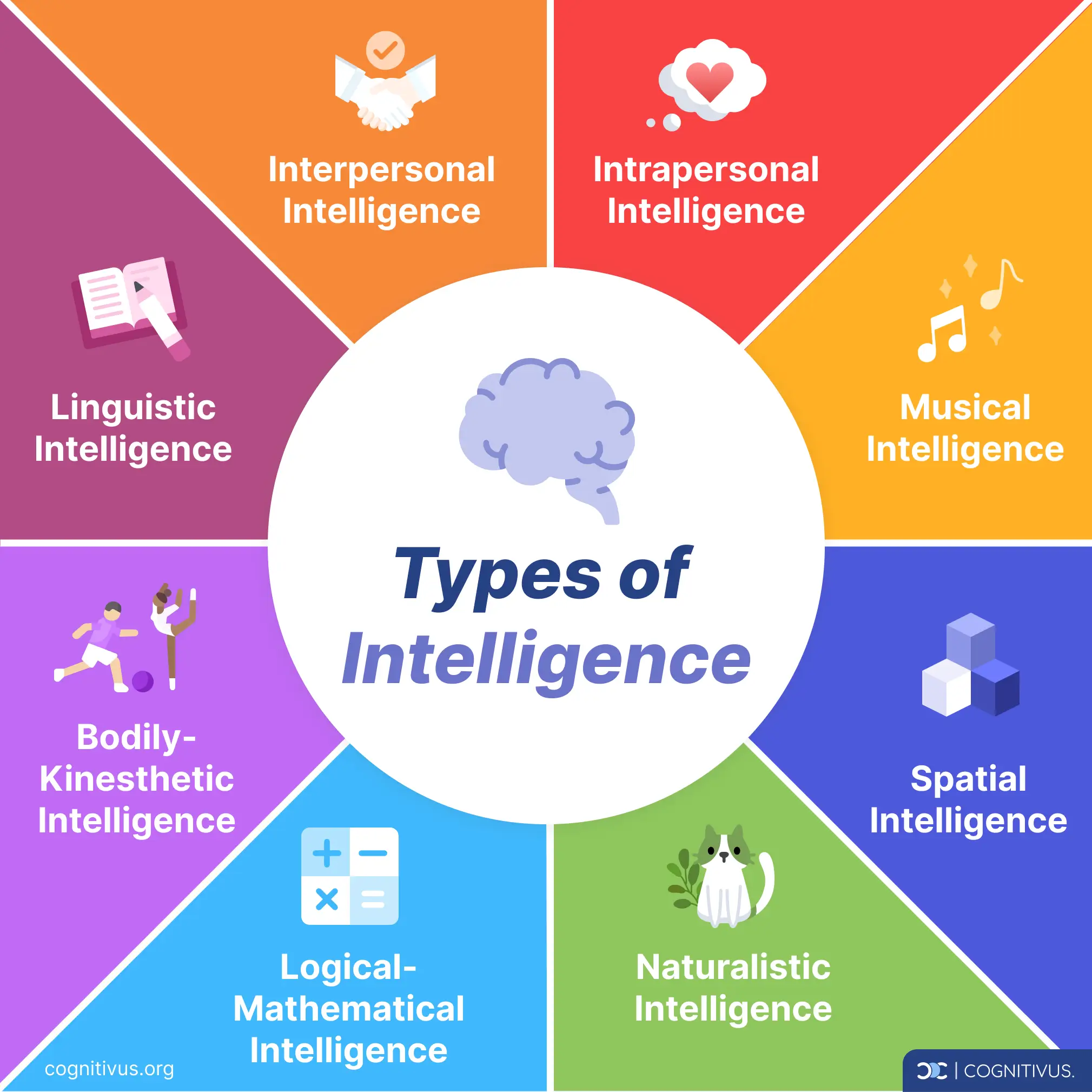 types of intelligence diagram according to Howard Gardner’s multiple intelligences theory